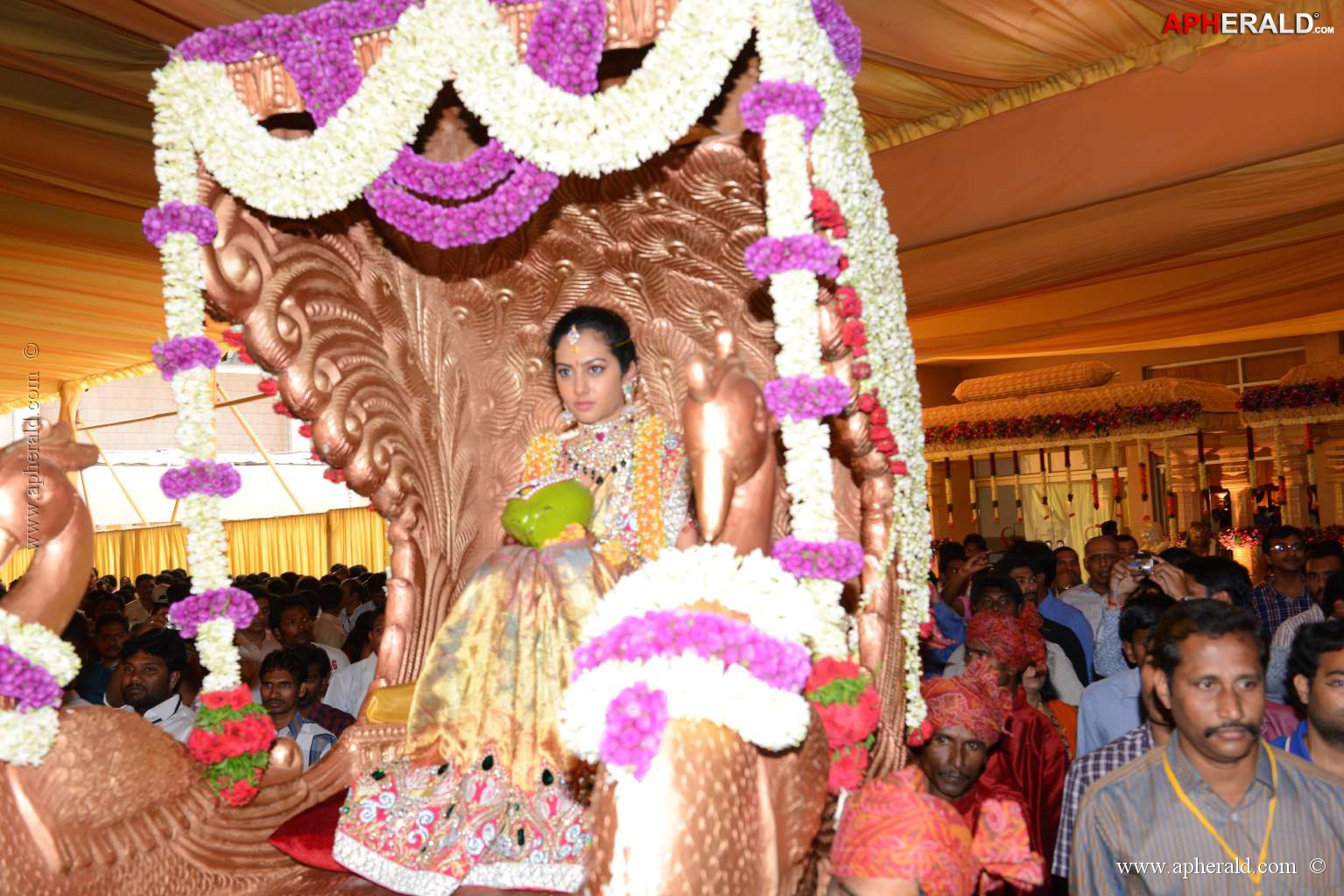 Balakrishna's Daughter's Wedding Photos 8