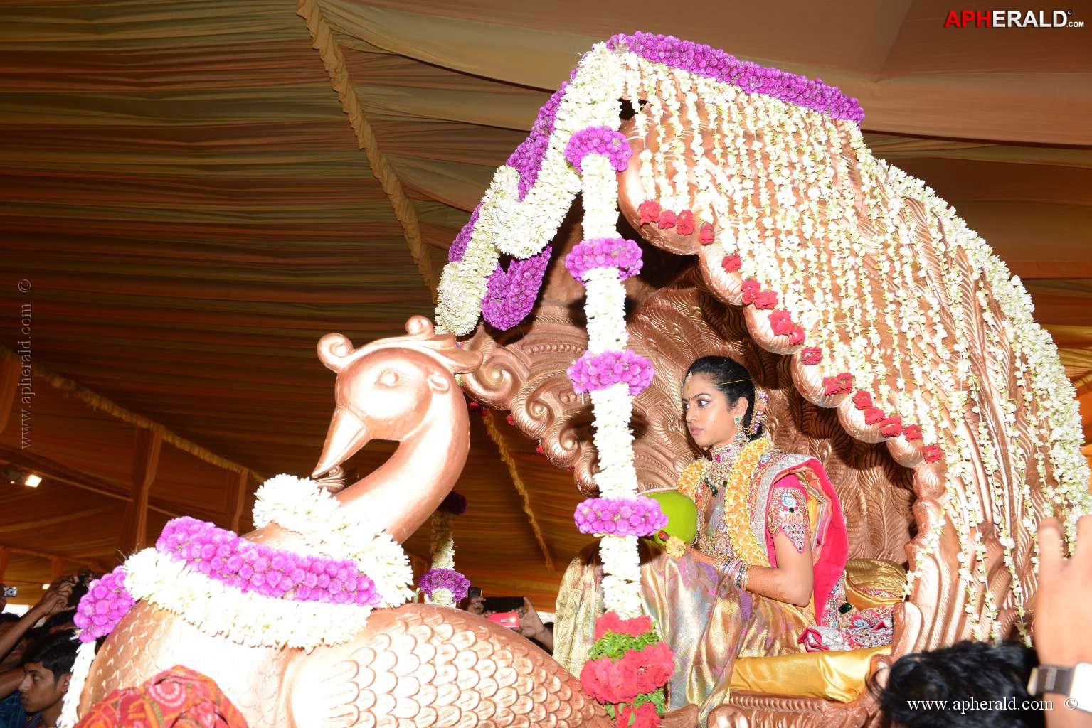 Balakrishna's Daughter's Wedding Photos 8