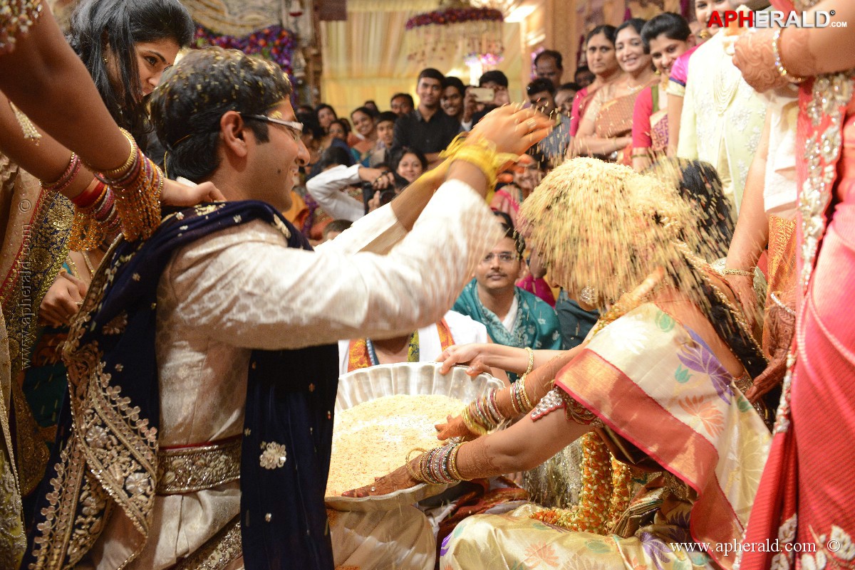 Balakrishna's Daughter's Wedding Photos 9