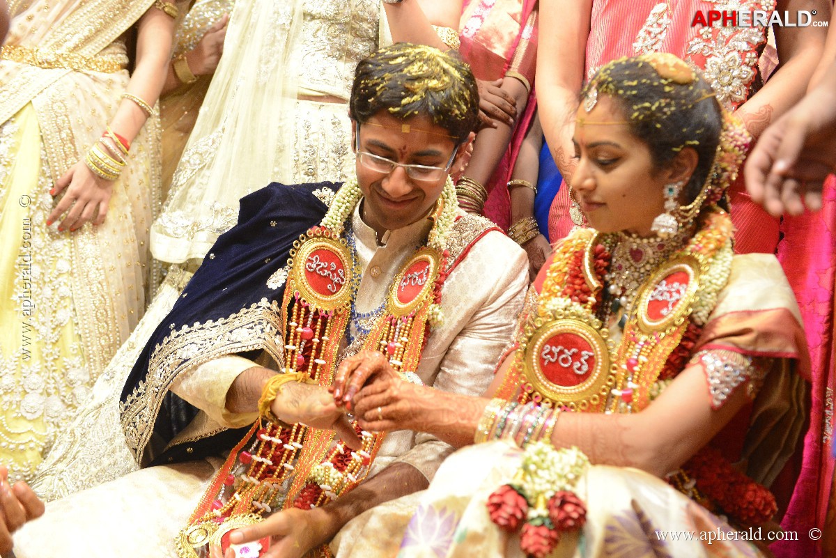 Balakrishna's Daughter's Wedding Photos 9