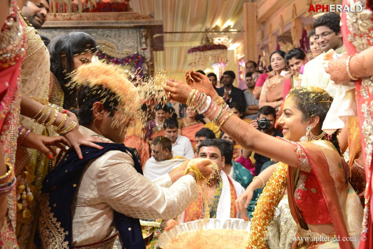 Balakrishna's Daughter's Wedding Photos 9