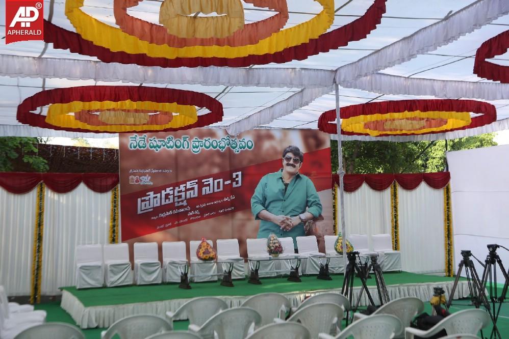 Balakrishna New Movie Opening Images