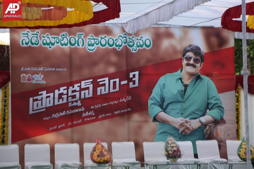 Balakrishna New Movie Opening Images