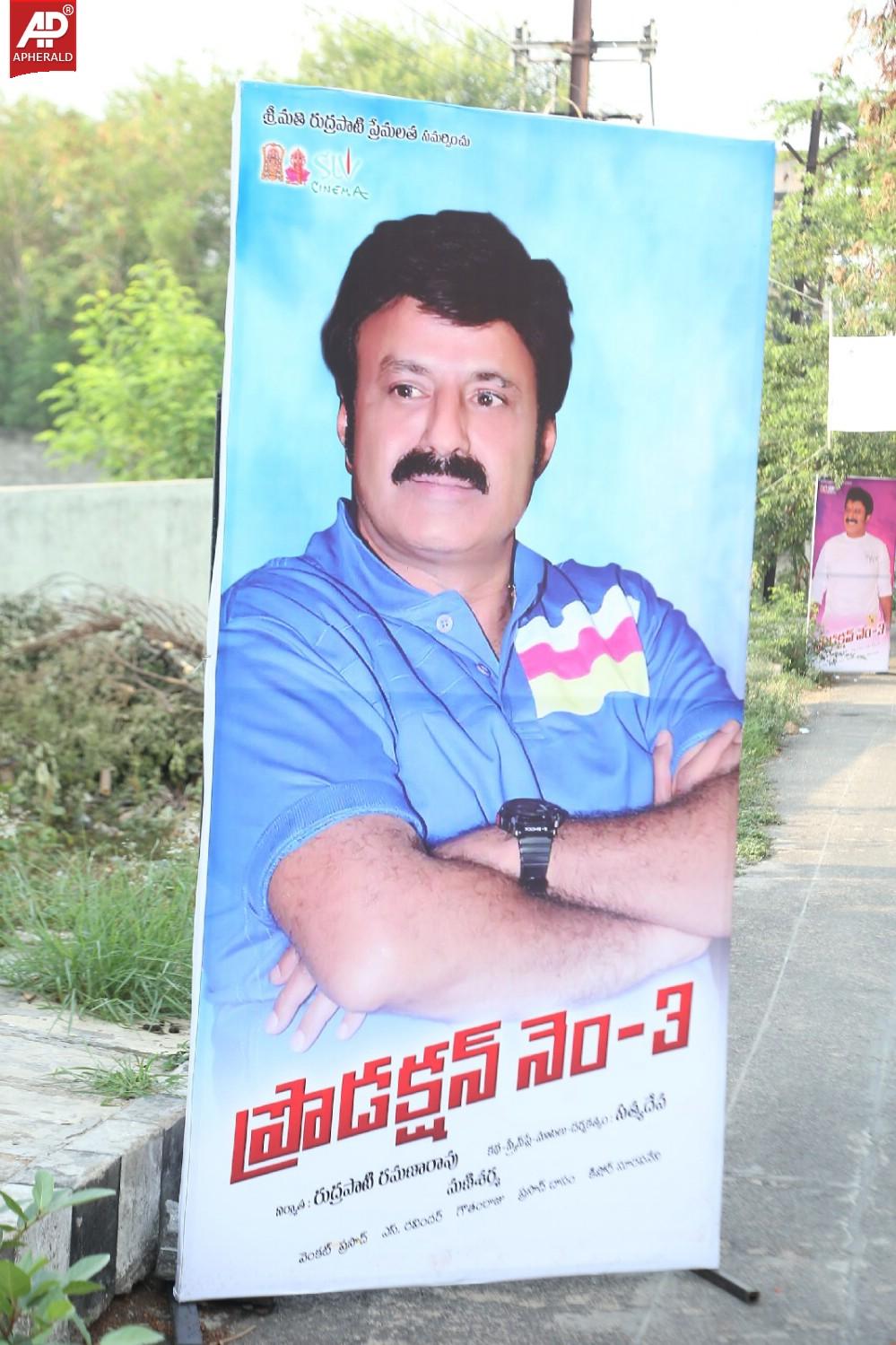 Balakrishna New Movie Opening Images