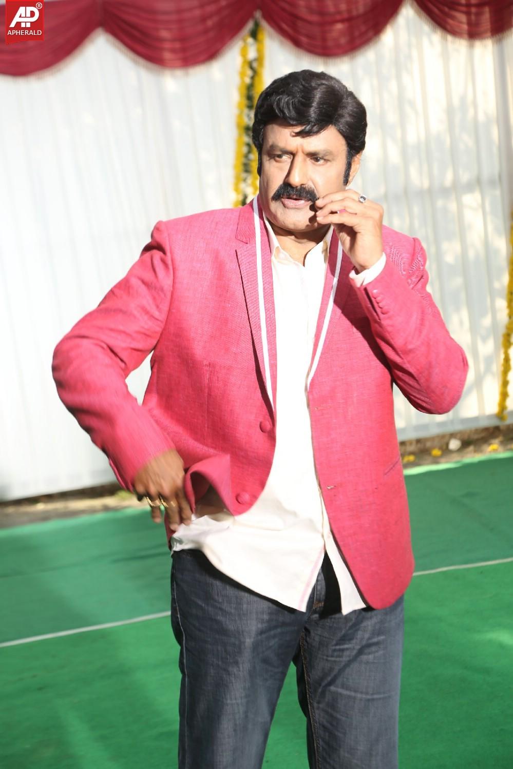 Balakrishna New Movie Opening Photos