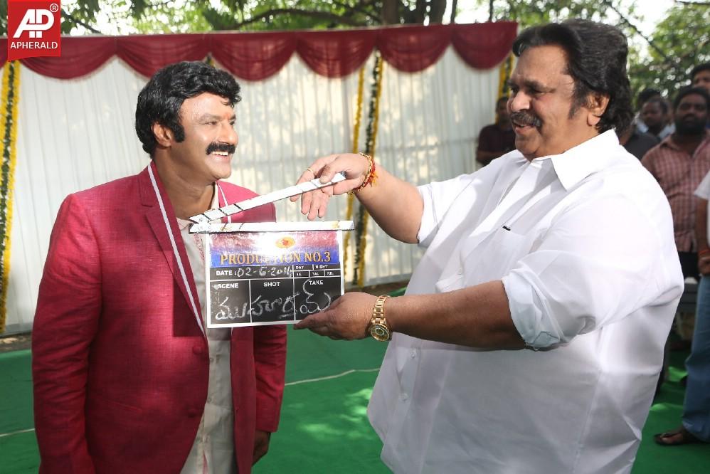 Balakrishna New Movie Opening Photos