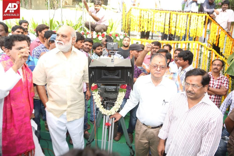 Balakrishna New Movie Opening Photos