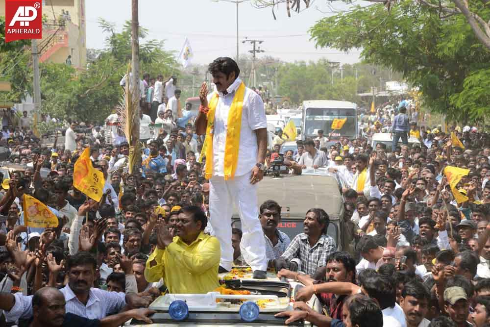 BalaKrishna Pics at Hindapur Hangama