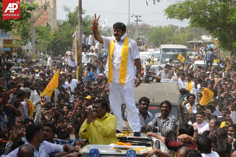 BalaKrishna Pics at Hindapur Hangama