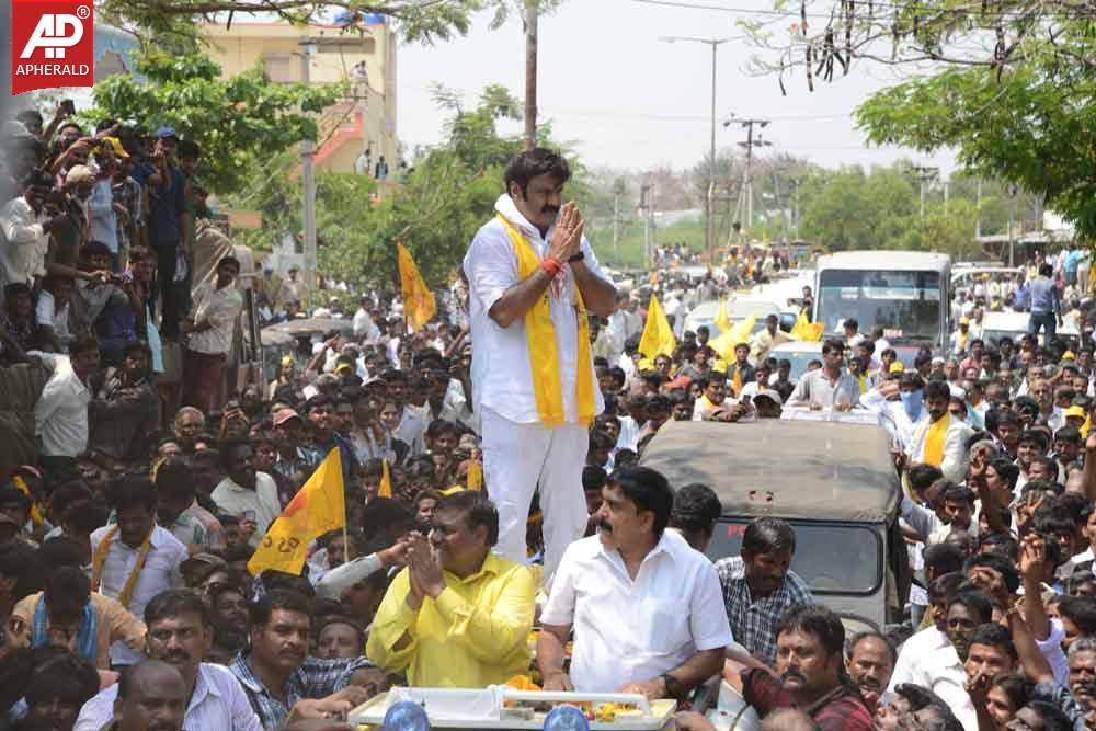 BalaKrishna Pics at Hindapur Hangama