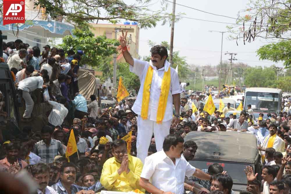 BalaKrishna Pics at Hindapur Hangama