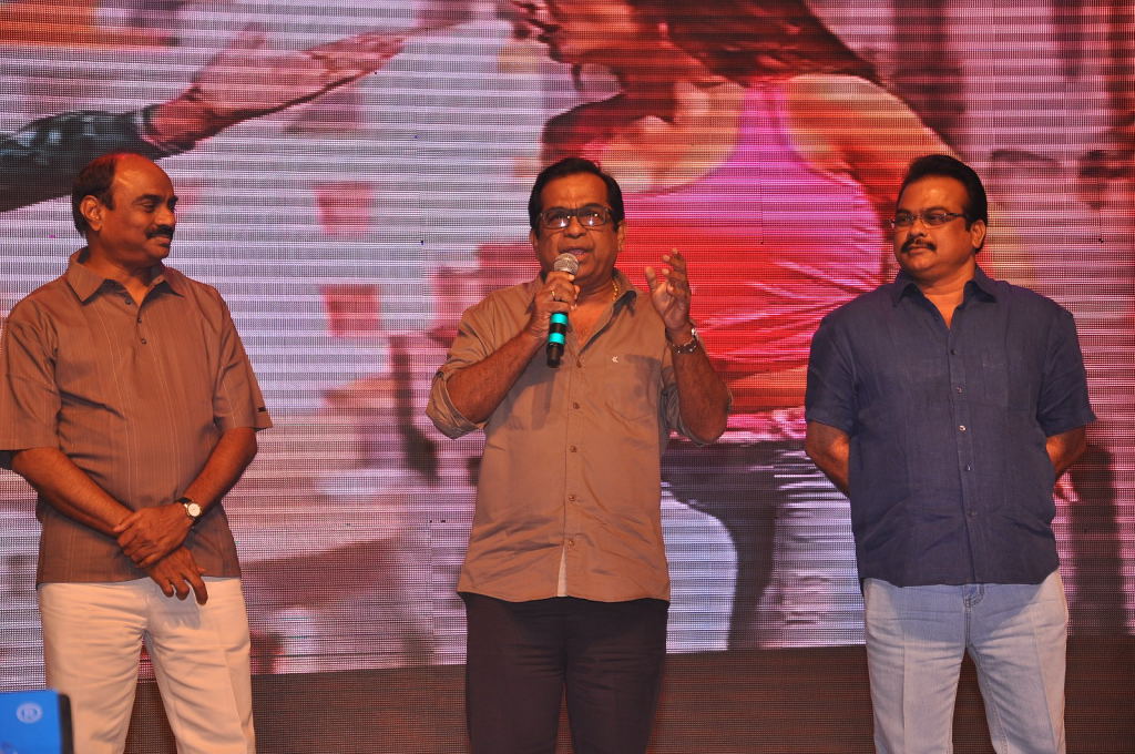 Balupu Movie Audio Launch - IV