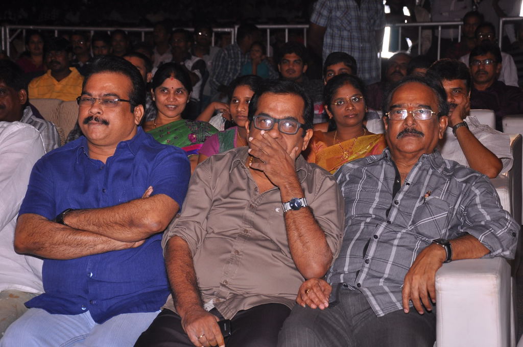 Balupu Movie Audio Launch - IV
