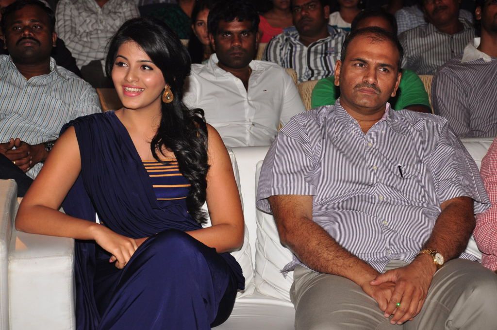 Balupu Telugu Movie Audio Release Function - V