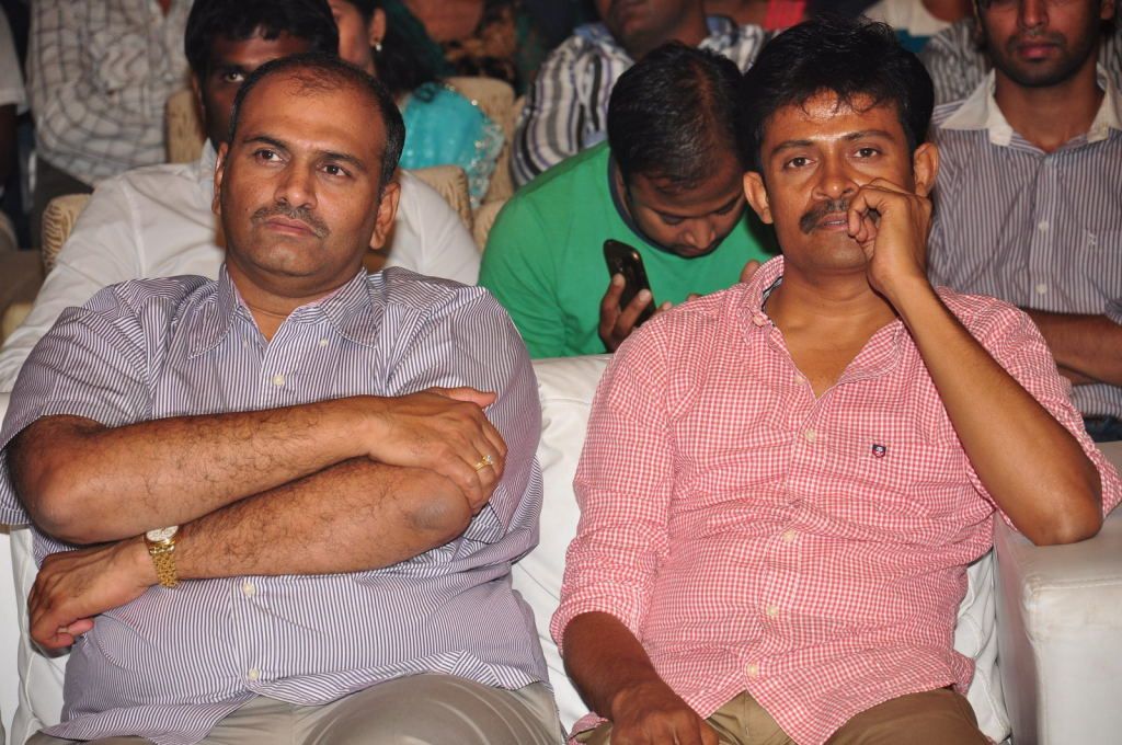 Balupu Telugu Movie Audio Release Function - V