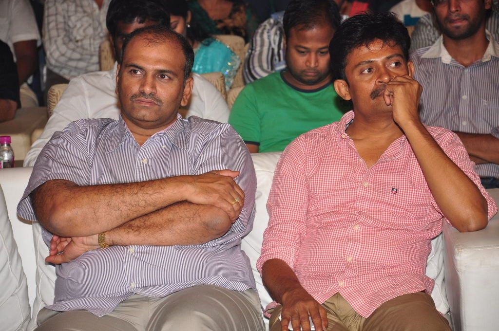 Balupu Telugu Movie Audio Release Function - V
