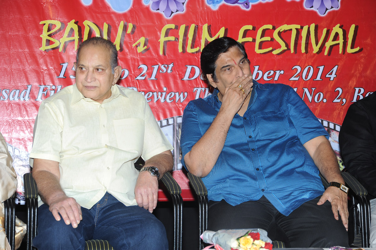 Bapu Film Festival 2014 Press Meet