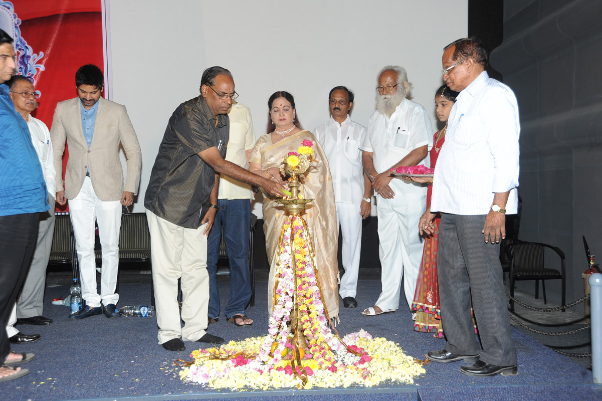 Bapu Film Festival 2014 Press Meet