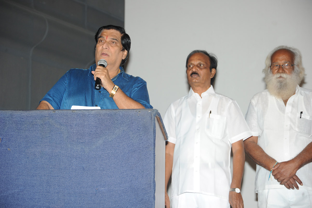 Bapu Film Festival 2014 Press Meet