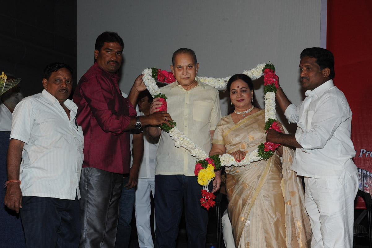 Bapu Film Festival 2014 Press Meet