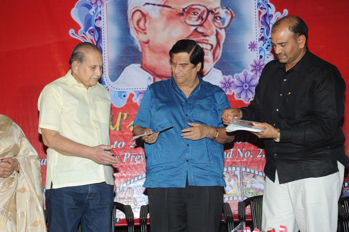 Bapu Film Festival 2014 Press Meet