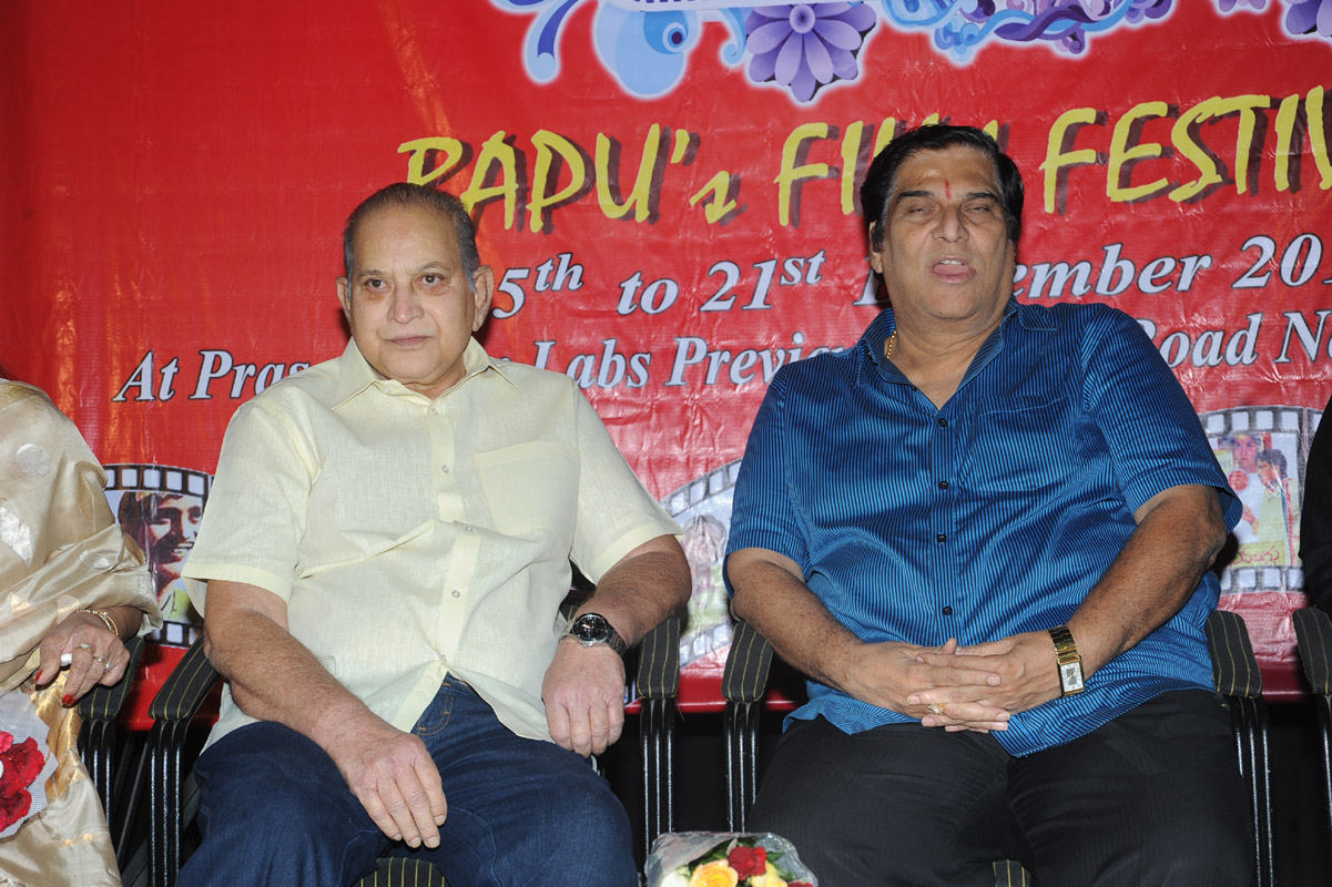 Bapu Film Festival 2014 Press Meet