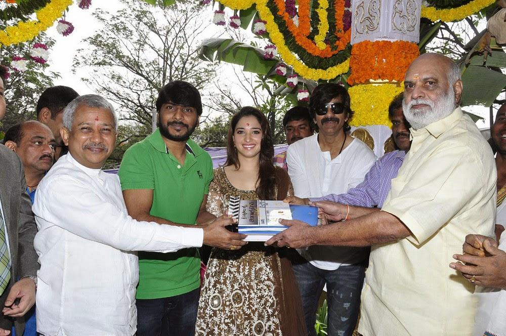 Bengal Tiger Movie Launch Photos