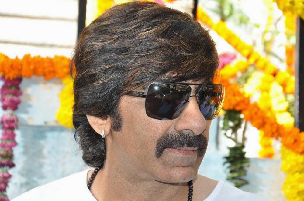 Bengal Tiger Movie Launch Photos