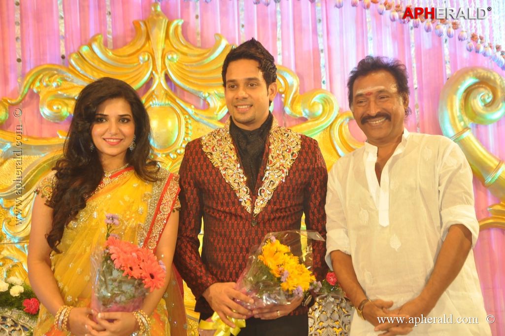 Bharat n Jessy Wedding Reception Photos