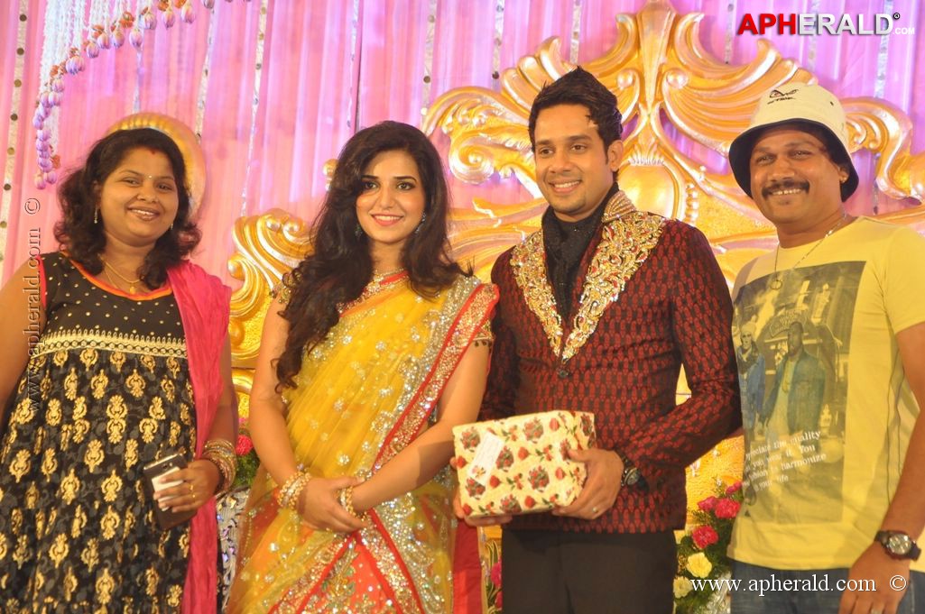 Bharat n Jessy Wedding Reception Photos