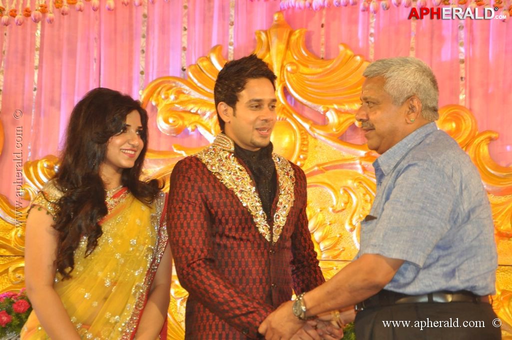 Bharat n Jessy Wedding Reception Photos