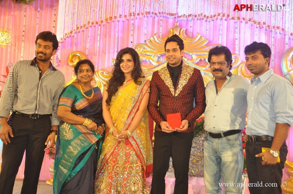Bharat n Jessy Wedding Reception Photos