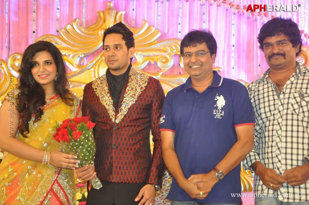 Bharat n Jessy Wedding Reception Photos