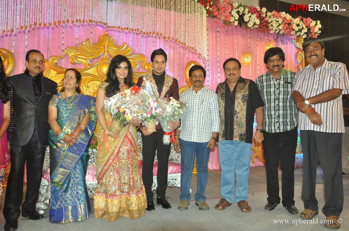 Bharat n Jessy Wedding Reception Photos