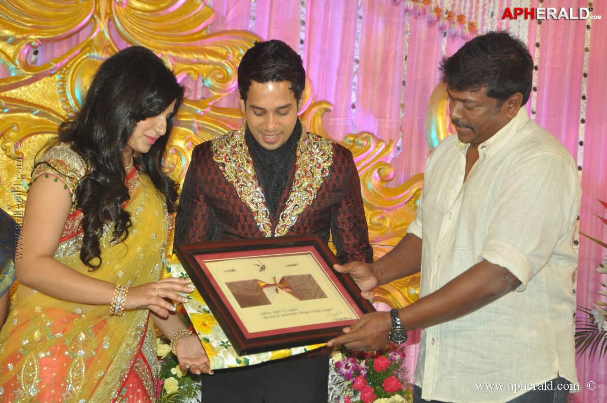Bharat n Jessy Wedding Reception Photos
