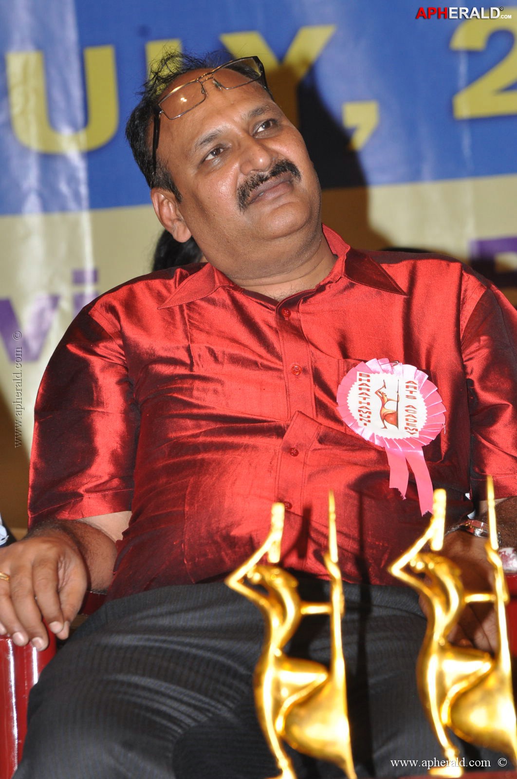 Bharatamuni Awards 2013 Stills 