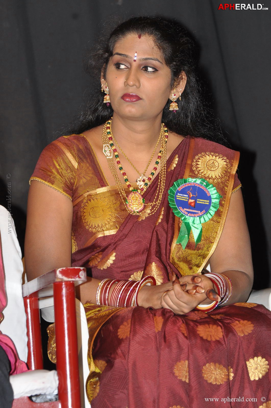 Bharatamuni Awards 2013 Stills 