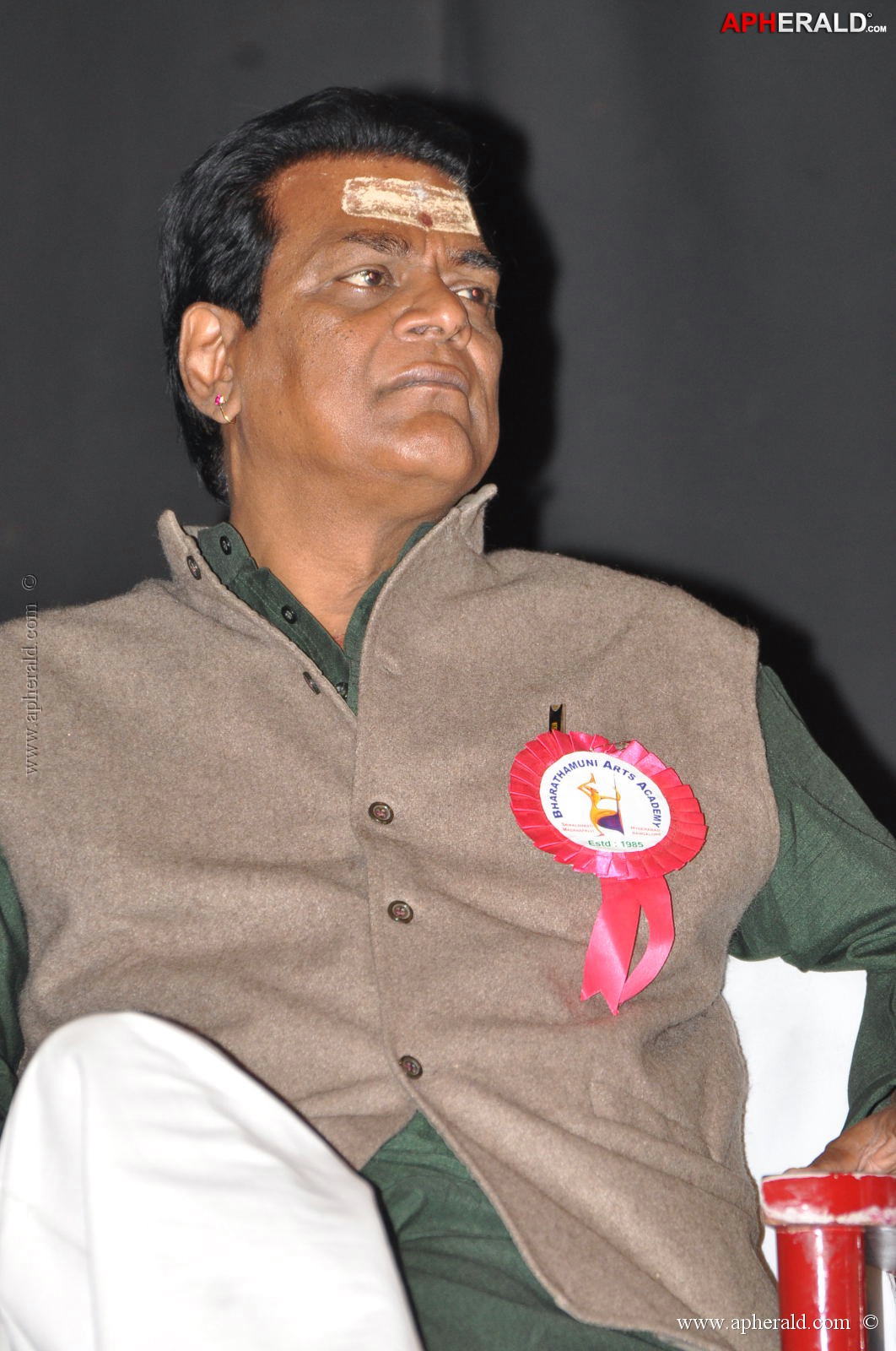 Bharatamuni Awards 2013 Stills 