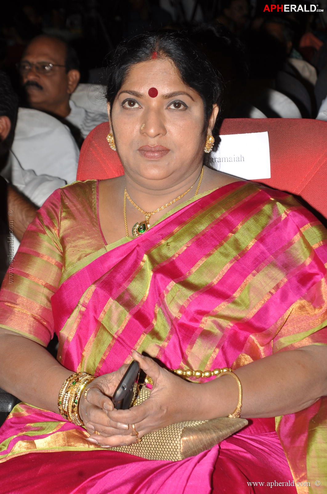 Bharatamuni Awards 2013 Stills 