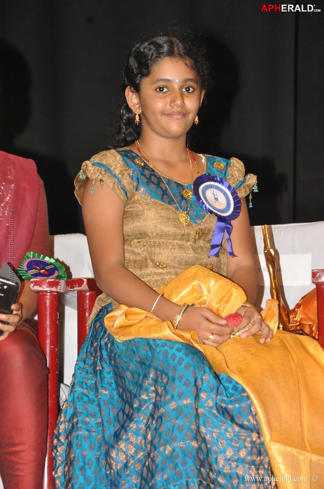 Bharatamuni Awards 2013 Stills 