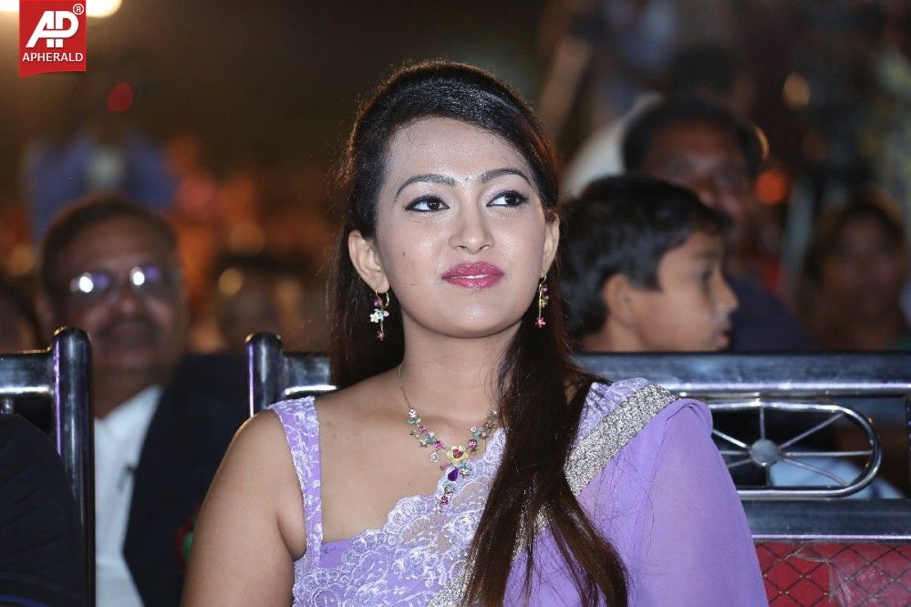 bheemavaram bullodu platinum disc function