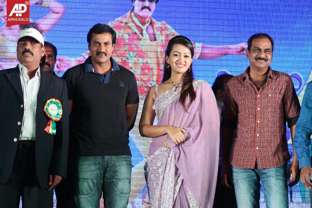 bheemavaram bullodu platinum disc function