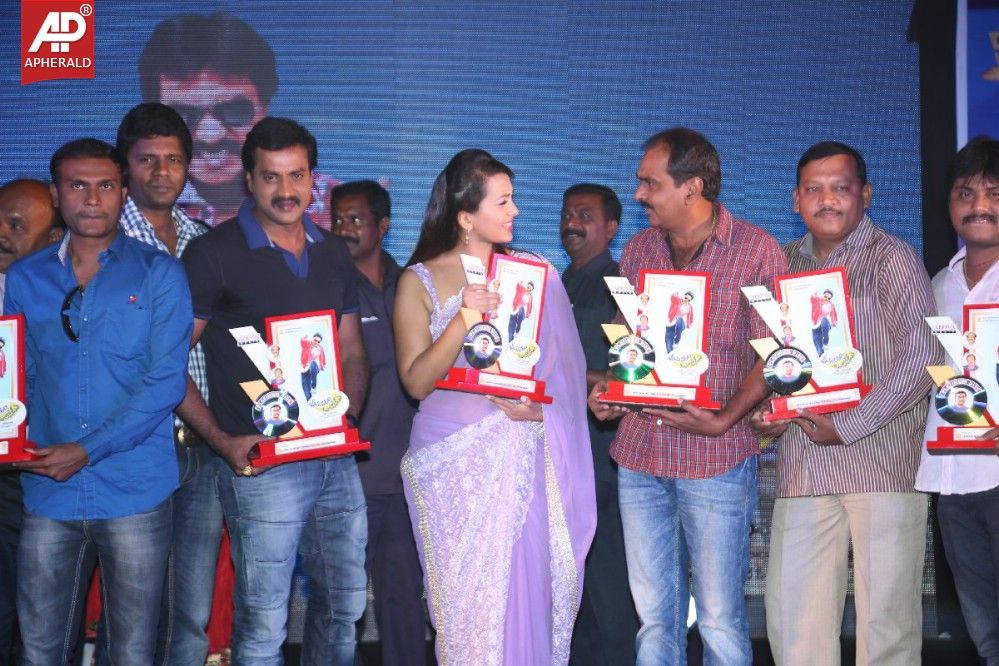 bheemavaram bullodu platinum disc function