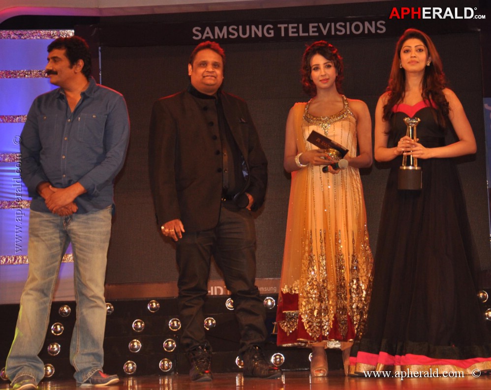 Big Telugu Entertainment Awards Pics