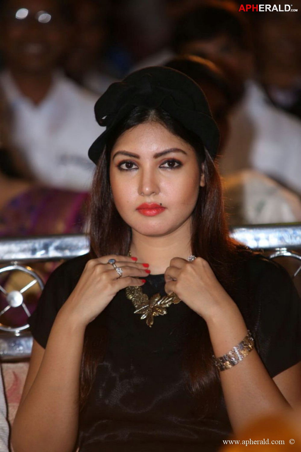 Billa Ranga Audio Launch