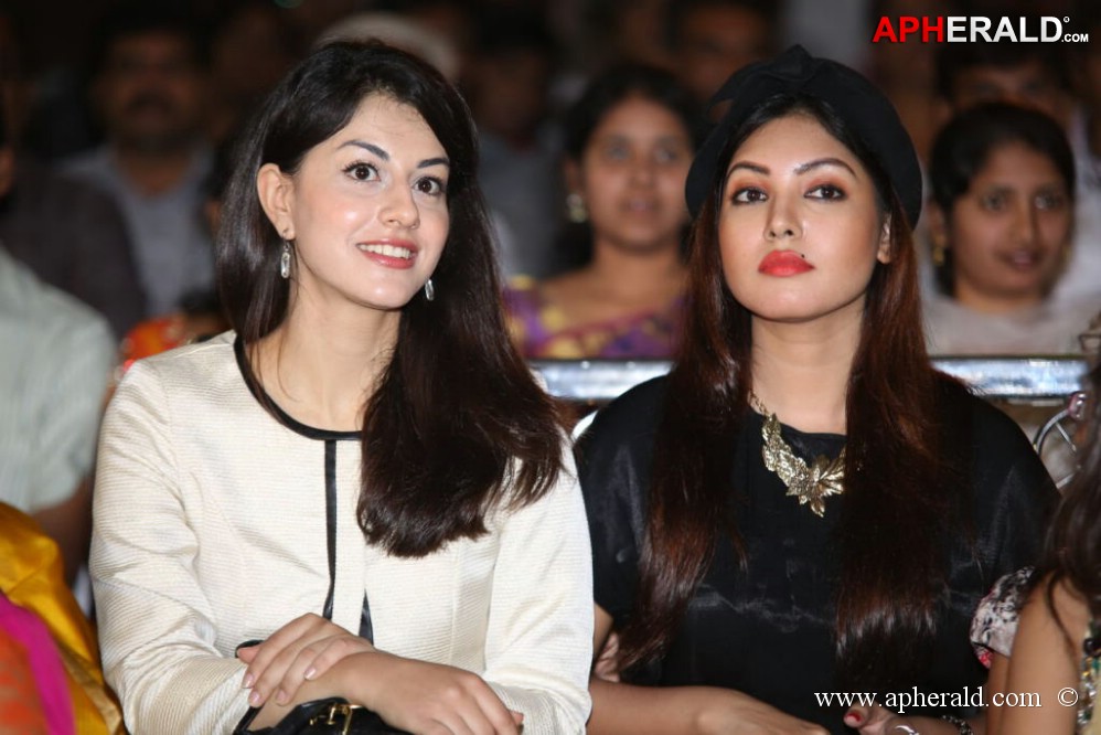 Billa Ranga Audio Launch