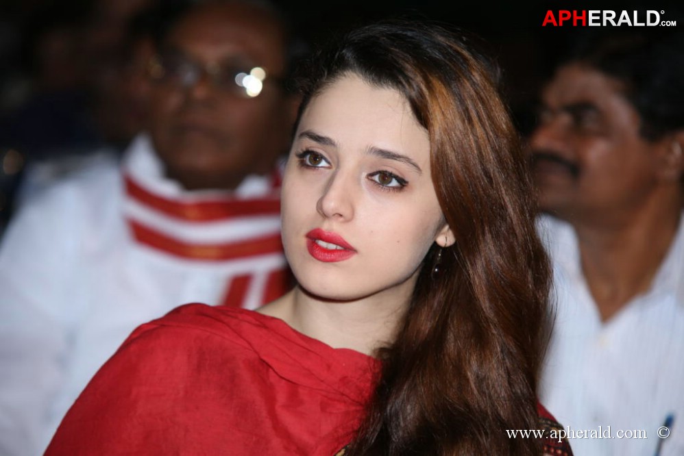 Billa Ranga Audio Launch