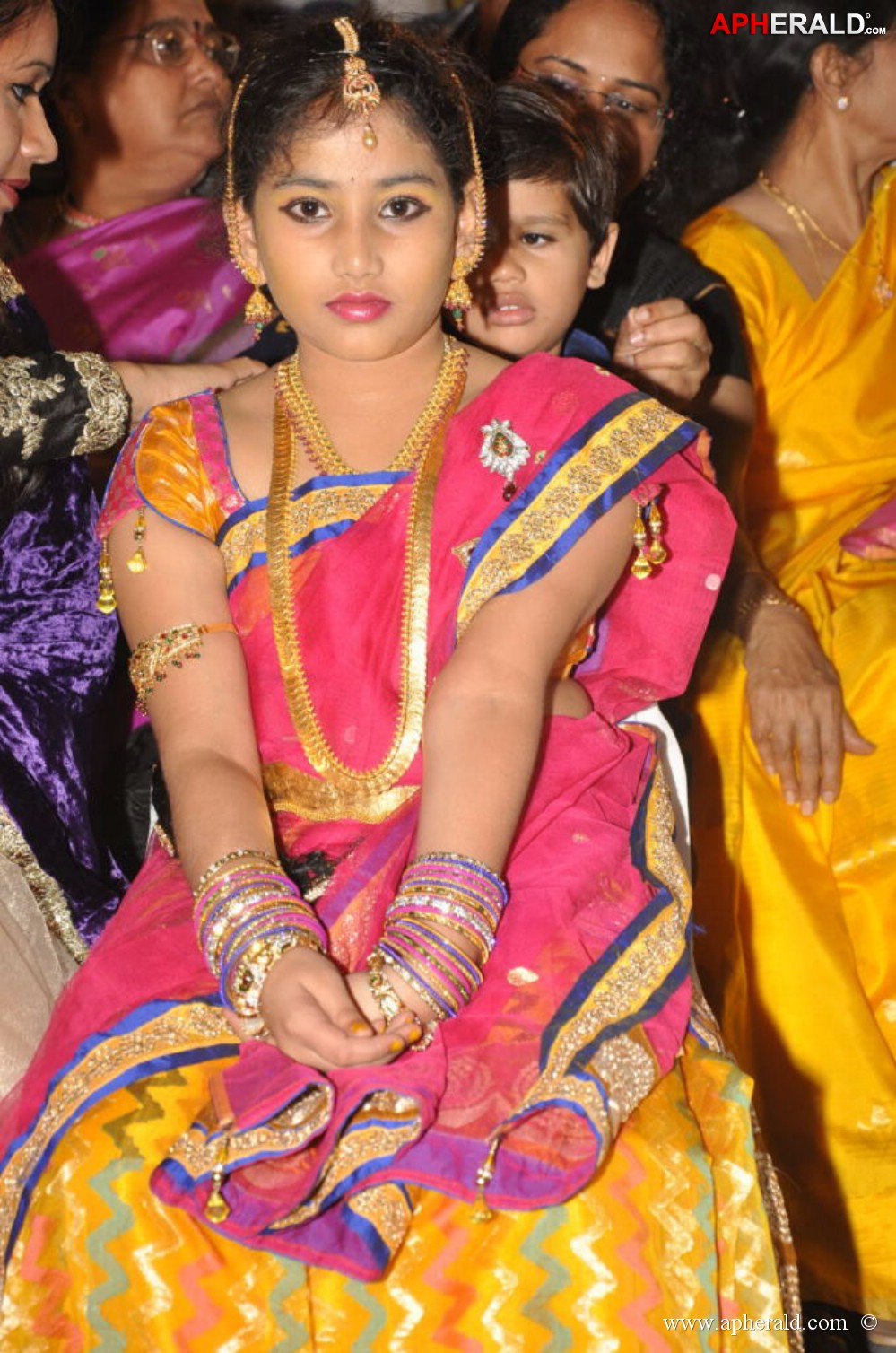 Billa Ranga Audio Launch