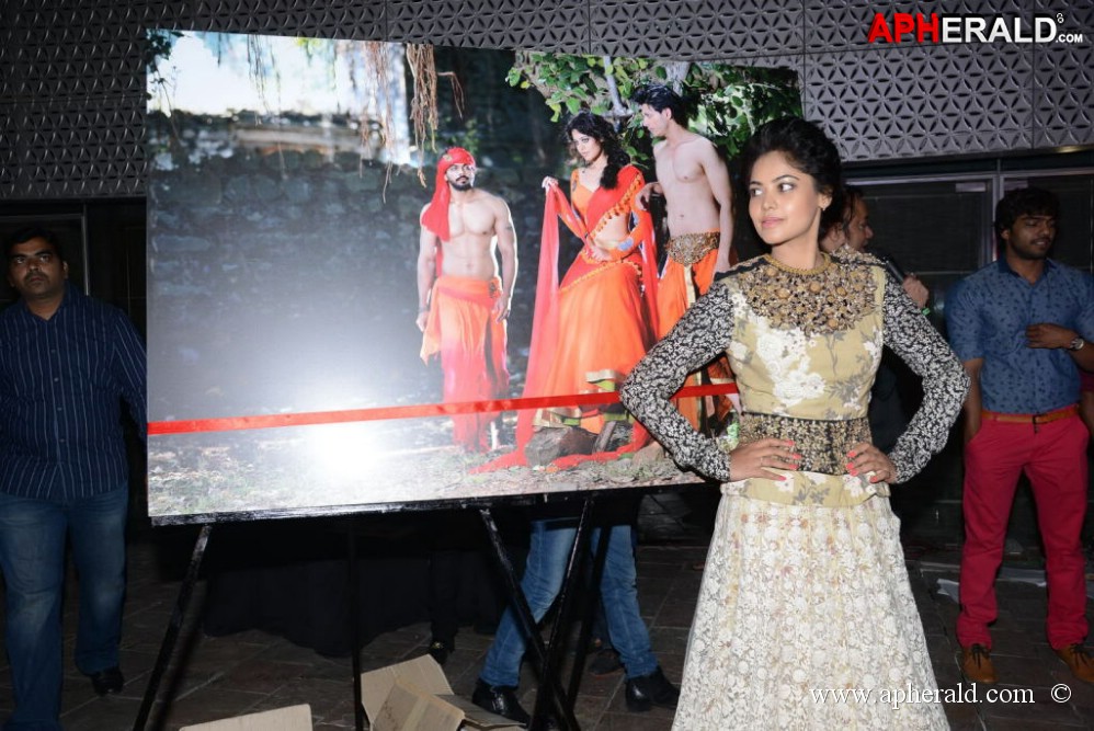Bindu Madhavi Fashion Calendar 2014 Launch Event
