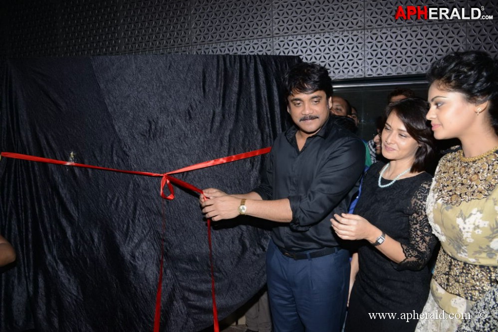 Bindu Madhavi Fashion Calendar 2014 Launch Event
